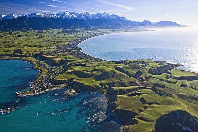 Kaikoura Whale Watch Day Tour from Christchurch - Introduction