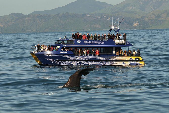 Kaikoura Whale Watch Day Tour from Christchurch - Transport & Group Size