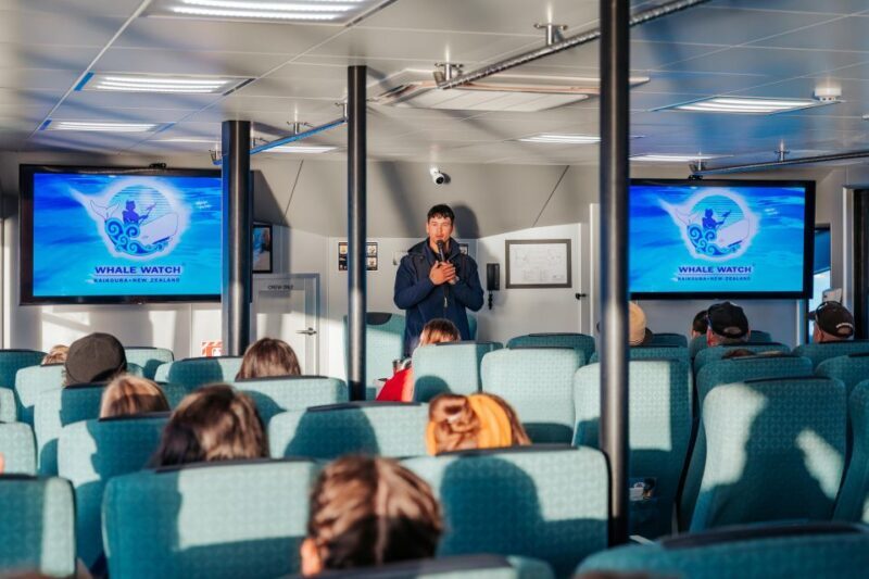 Kaikoura: Whale Watching Cruise - FAQ