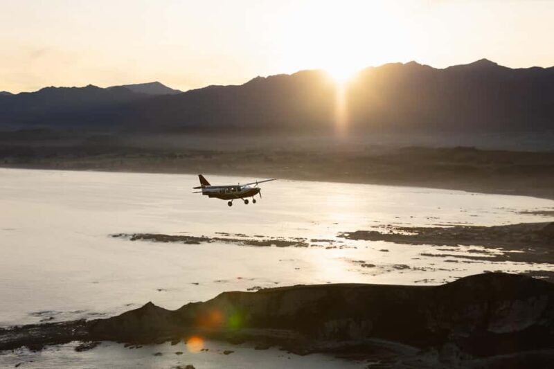 Kaikoura: Whale Watching Flight with Commentary - An In-Depth Look at the Experience