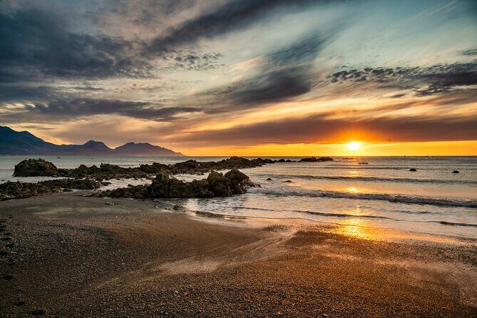 Kaikura Day Tour From Christchurch With Whale Watch - Authentic Traveler Insights