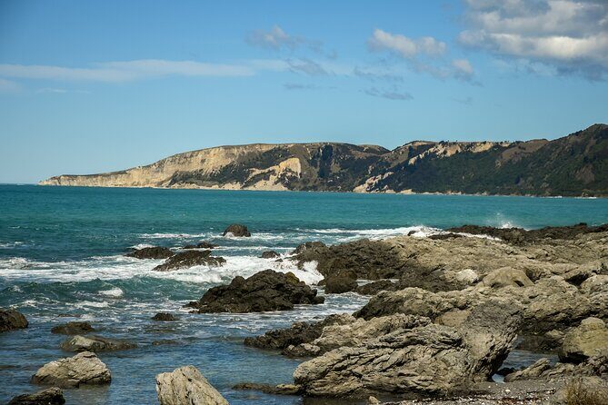 Kaikura Day Tour From Christchurch With Whale Watch - Who Is This Tour Best Suited For?