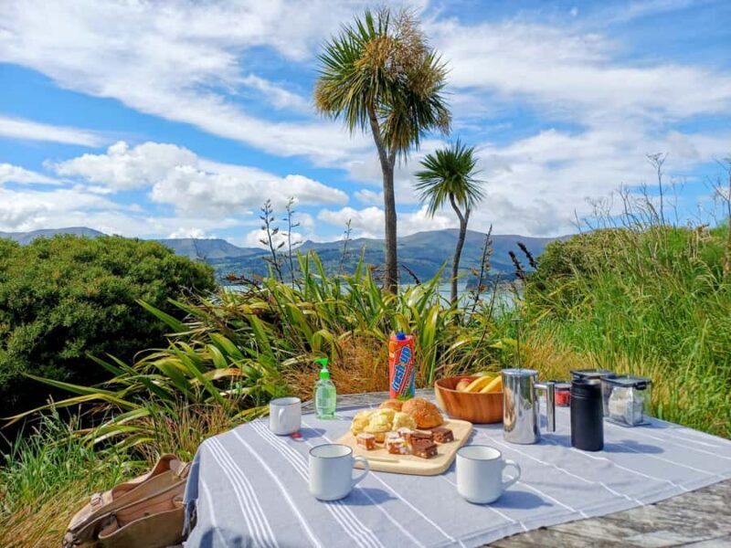 Kaikura: Small Group Tour- optional Whale, Dolphin, Zipline - Key Points