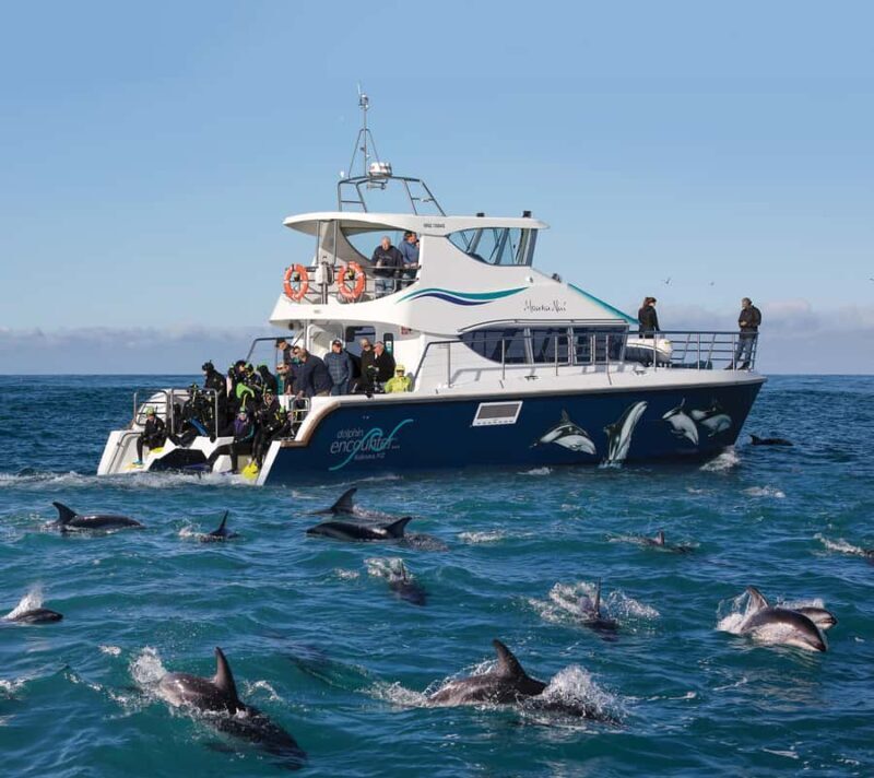 Kaikura: Small Group Tour- optional Whale, Dolphin, Zipline - Final Thoughts