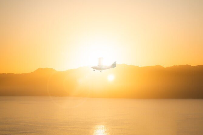 Kaikura Whale Watching Scenic Flight (40 Minutes) - Deep Dive into the Itinerary