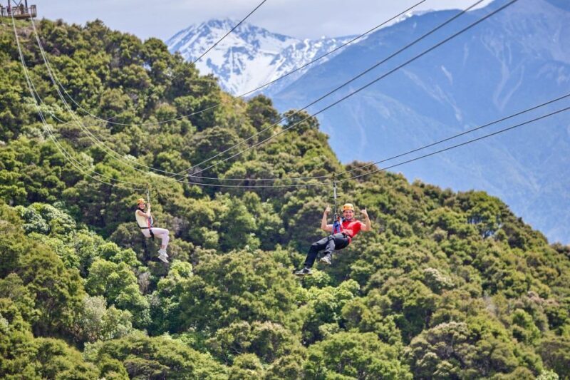 Kaikura: Zipline and Native Forest Adventure Trip - An In-depth Look at the Kaikura Zipline and Forest Experience