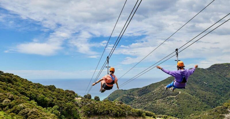 Kaikura: Zipline and Native Forest Adventure Trip - Final Thoughts: Who Will Love This Experience?