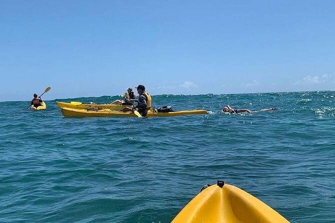 Kailua 2-Hour Guided Kayaking Excursion, Oahu - FAQs
