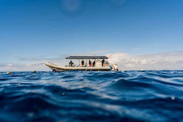 kailua-kona-big-island-morning-snorkeling-tour-with-lunch