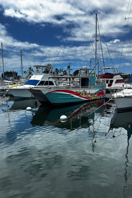 kailua-kona-captain-cook-reef-catamaran-day-trip-with-lunch
