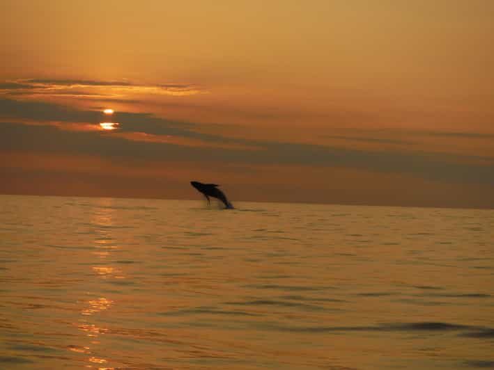 Kailua-Kona: Dolphin Watch & Double-Reef Snorkel Tour - Authentic experiences from previous travelers