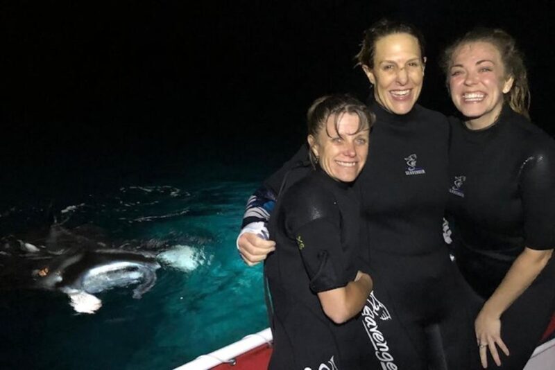 Kailua-Kona: Manta Ray Spotting Night Snorkeling Tour - Key Points