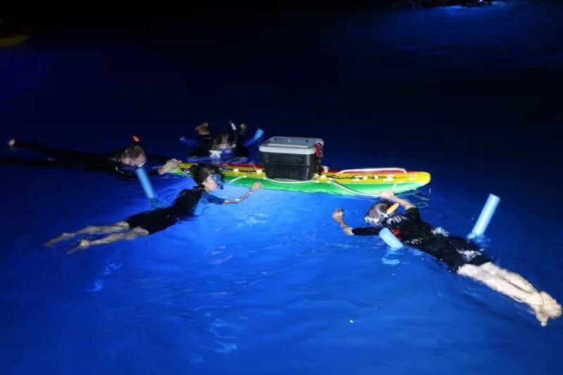 Kailua-Kona: Manta Ray Spotting Night Snorkeling Tour - What to Expect from the Tour