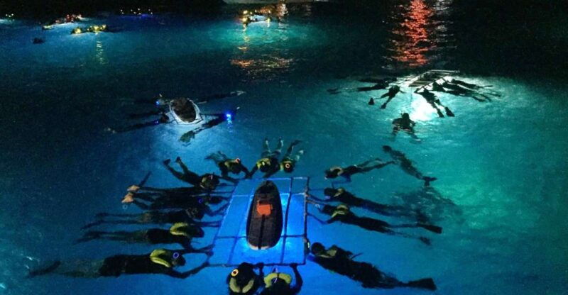 kailua-kona-night-manta-ray-adventure-on-the-big-island