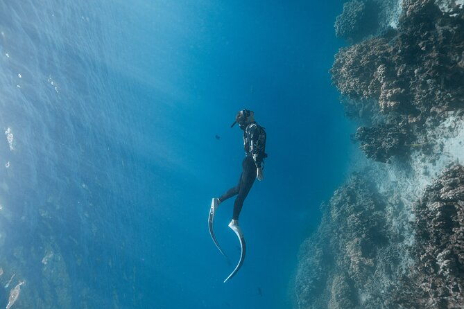 kaimana-kealakekua-bay-captain-cook-adventure