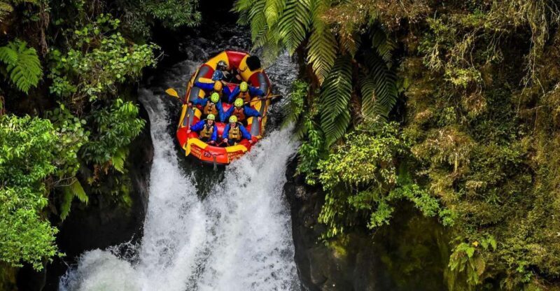 Kaituna River and Tutea Falls Whitewater Rafting - Key Points