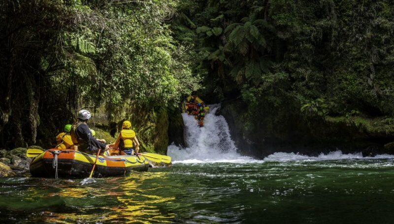 Kaituna River and Tutea Falls Whitewater Rafting - Value for Money