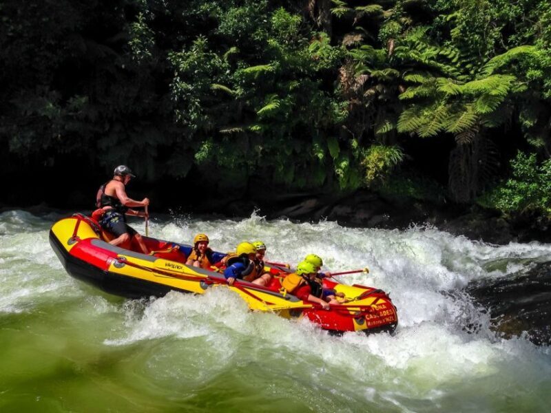 Kaituna River and Tutea Falls Whitewater Rafting - Who Is This Tour Best For?