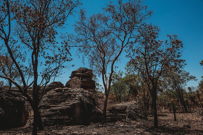 Kakadu Day Tour from Darwin with Offroad Dreaming - FAQ