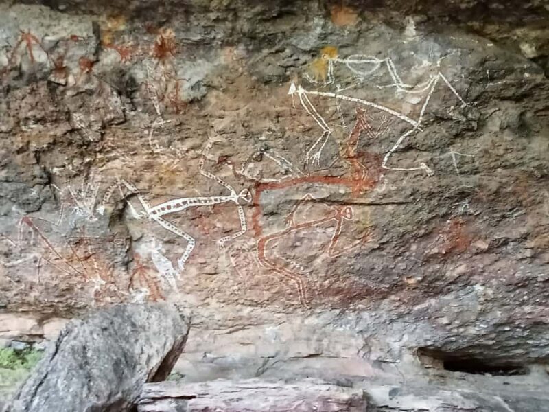 Kakadu Day Tour: Private, Yellow Water, Nourlangie, Ubirr - Who Should Consider This Tour?