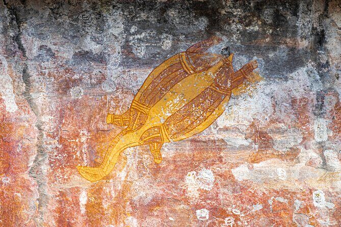 Kakadu National Park Wildlife & Ubirr Rock Art Tour from Darwin - The Experience: What to Expect from Start to Finish