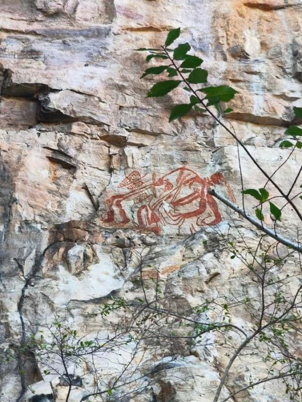 Kakadu: Private Wet Season Tour with Cruise & Helicopter - Key Points