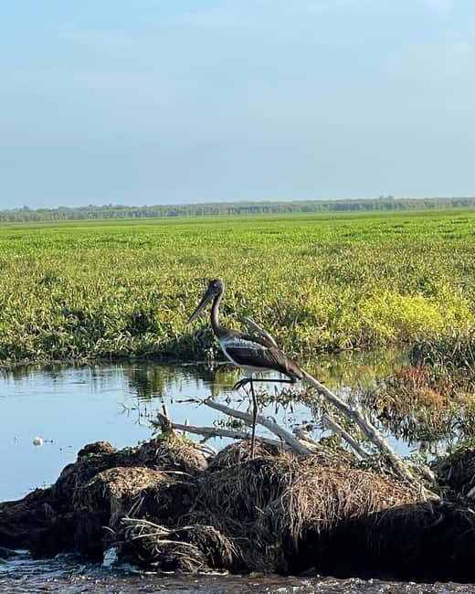 Kakadu VIP Backpackers - The Sum Up