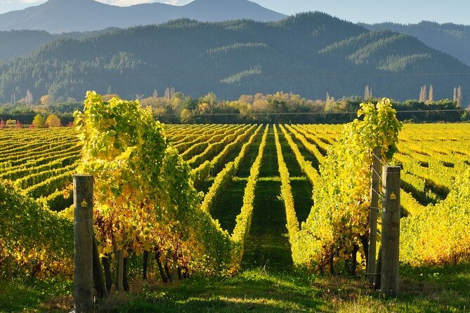 kakheti-bodbe-monastery-sighnaghi-love-city-telavi-wine-tour-from-tbilisi