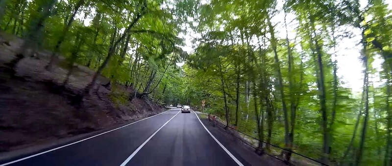 Kakheti, Culture Day Tour Sighnaghi Bodbe & Telavi Free Wine - Final Thoughts