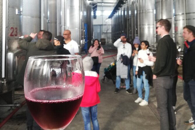 kakheti-full-day-private-tour-2