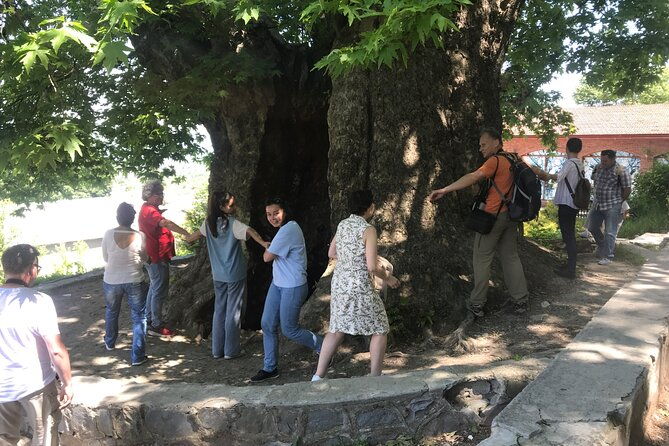 kakheti-private-wine-history-and-city-of-love