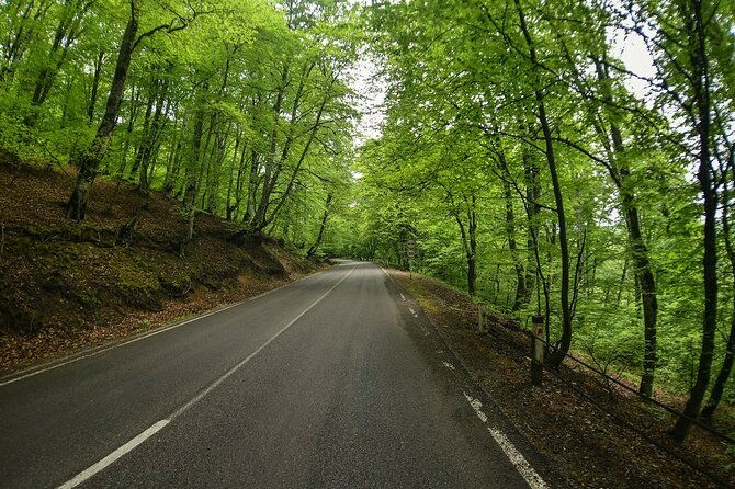 kakheti-region-khareba-winery-telavi-city-gremi-castle-day-tour