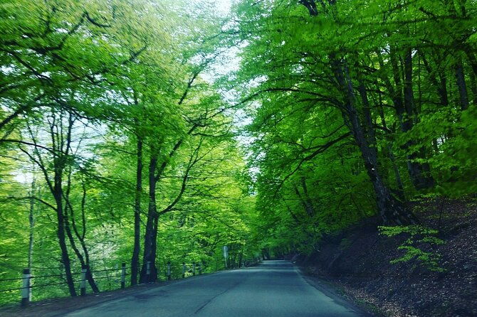 kakheti-region-khareba-winery-telavi-city-gremi-castle-day-tour