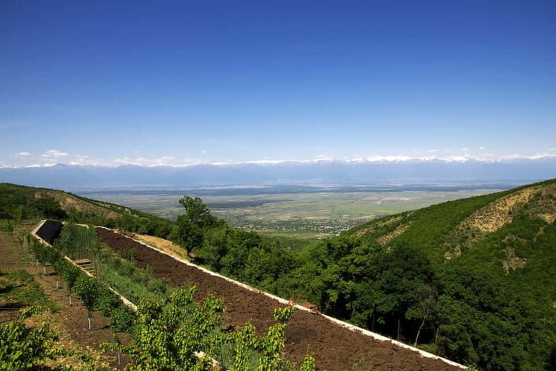 Kakheti & Sighnaghi Private Guided Day Trip with Wine - Exploring the Kakheti & Sighnaghi Private Guided Day Trip with Wine: An Authentic Georgian Experience