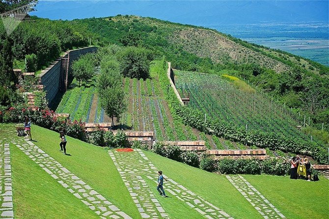 kakheti-signagi-bodbe-monastery-telavi-wine-tour-private-tour