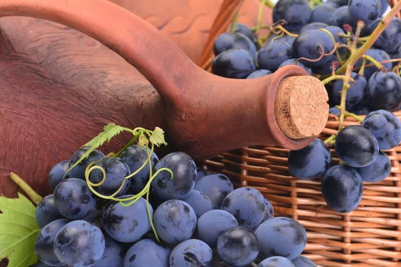 Kakheti Wine Tour - Explore the Art of Kvevri Winemaking - Final thoughts
