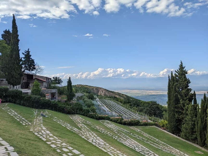 Kakheti: Wine tour from Tbilisi - Enjoy 6 sorts of wine - Kakheti: Wine tour from Tbilisi - Enjoy 6 sorts of wine