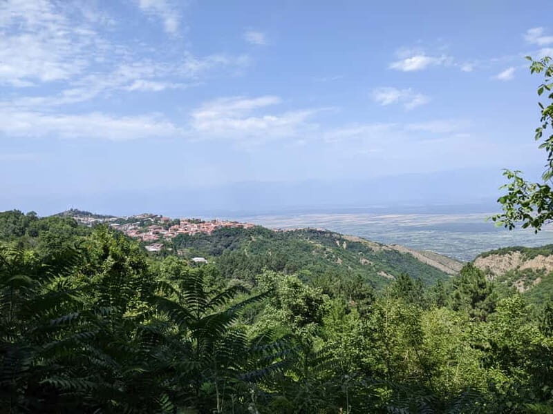 Kakheti: Wine tour from Tbilisi - Enjoy 6 sorts of wine - An Introduction to the Kakheti Wine Tour