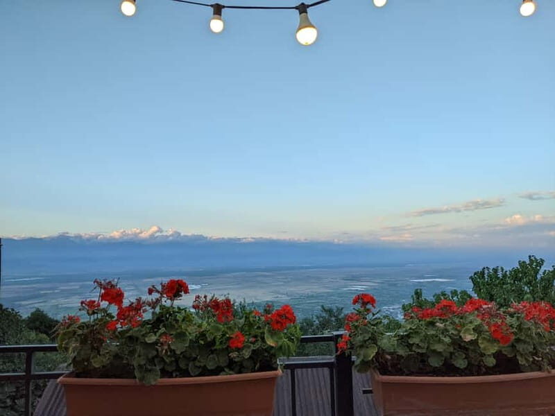 Kakheti: Wine tour from Tbilisi - Enjoy 6 sorts of wine - Wine Tasting: Exploring Kakhetian Winemaking