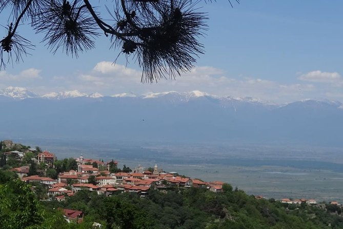 kakheti-wine-tour-telavi-kvareli-signagi-and-wine-cellars