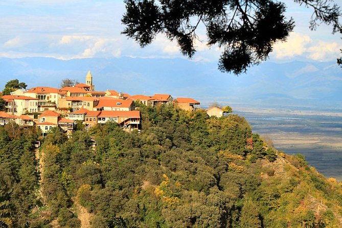 kakheti-wine-tour-telavi-kvareli-signagi-and-wine-cellars