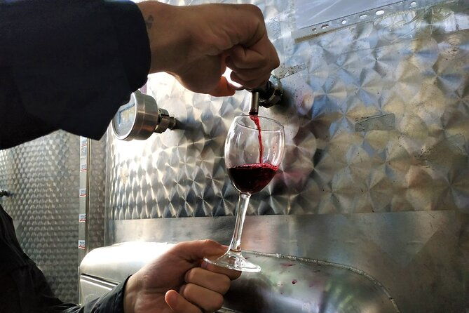 kakheti-wine-tour-with-20-wine-tastings-qvevri-masterclass