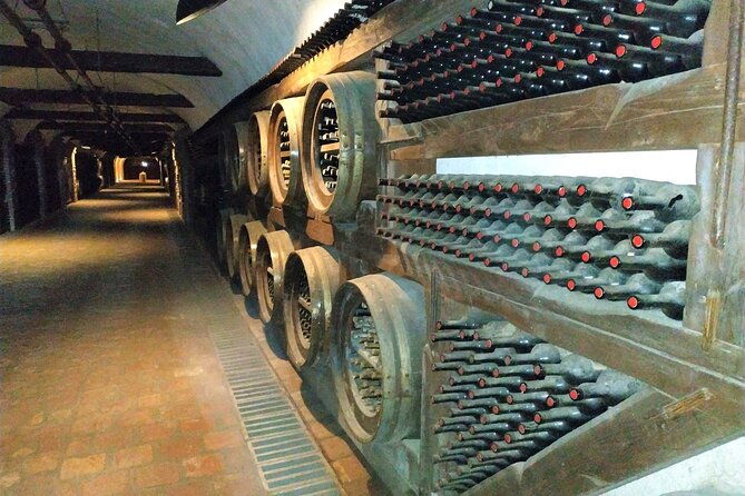 kakheti-wine-tour-with-20-wine-tastings-qvevri-masterclass