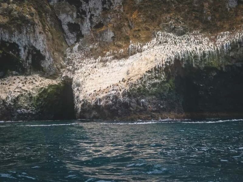 Kalamata: 5H Diros Caves & Limeni Dinner Tour - Key Points