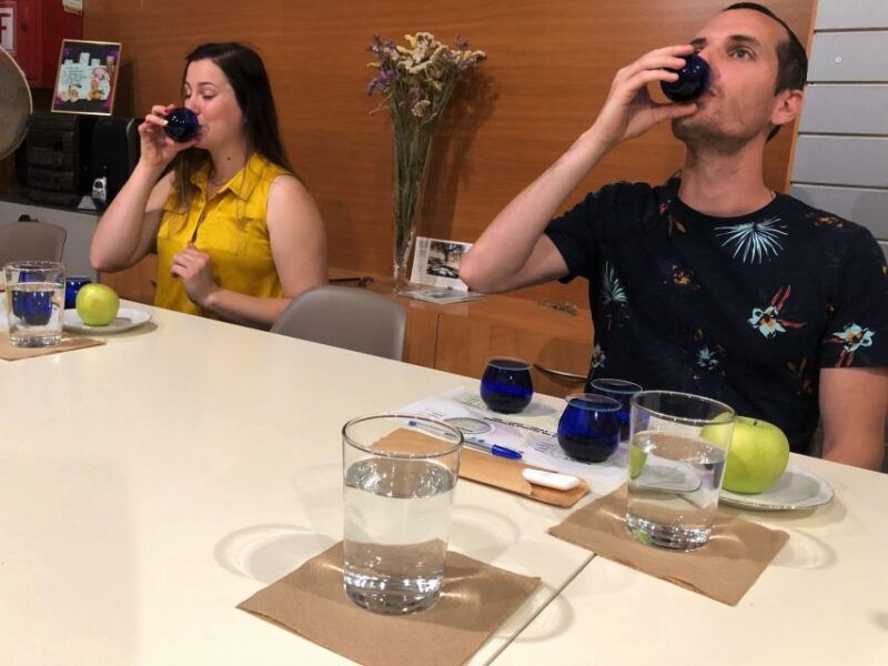 kalamata-greece-organic-olive-grove-tour-olive-oil-tasting