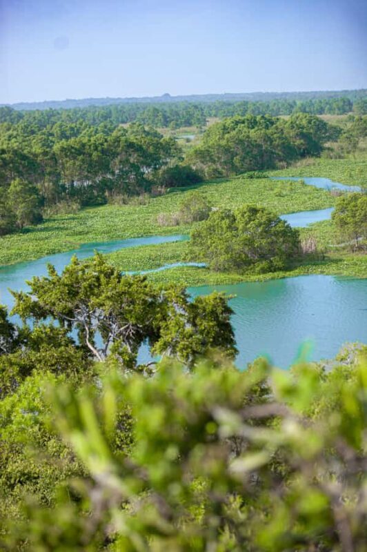 Kalametiya: Bird Sanctuary Catamaran Bird Watching Tour - Final Thoughts