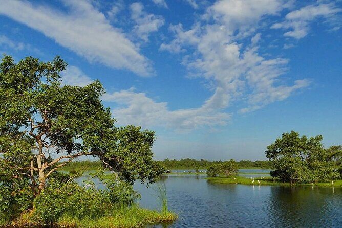 Kalametiya Bird Sanctuary Catamaran Bird Watching Tour - The Detailed Itinerary