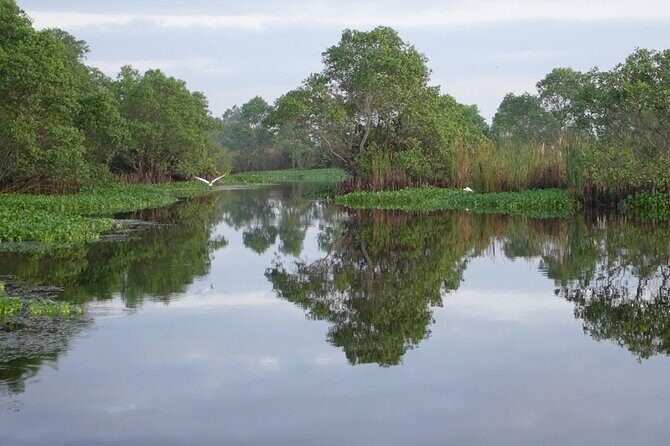 Kalametiya Bird Sanctuary Tour from Yala - Key Points