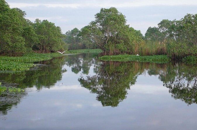 Kalametiya Bird Sanctuary Tour from Yala - Final Thoughts on the Tour’s Value