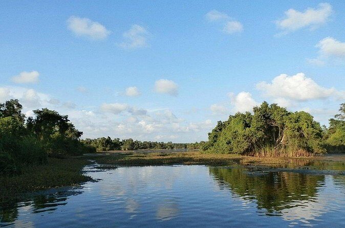 Kalametiya Bird Sanctuary Tour from Yala - Final Words